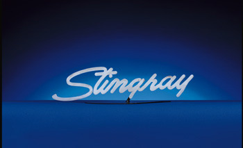 This 1968-76 Stingray Wall Hanging will offer a great accent to an office, garage, or dealership. It's the perfect gift for that hard to shop for guy or gal and is constructed of stainless steal.